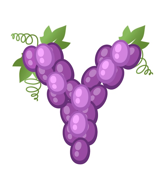 과일 문자 Y 포도 스타일 만화 과일 디자인 평면 벡터 일러스트 레이 션 흰색 배경에 고립