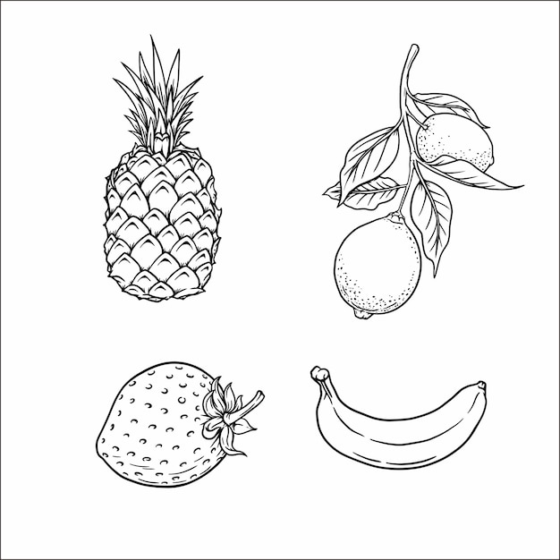 Fruit line art 3066