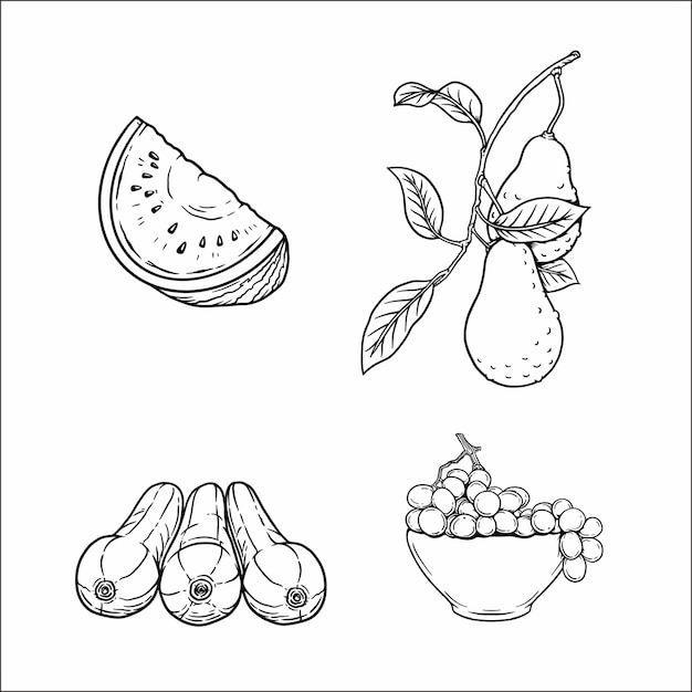 Fruit line art 3067