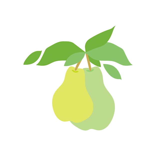 Fruit pear branch. Two pears hanging on branch with leaves. Flat food illustration fruit pear branch