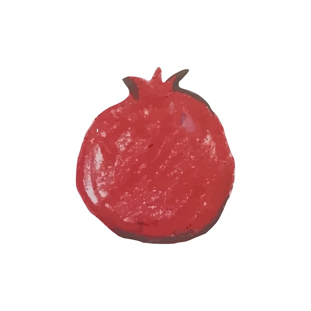 Fruit pomegranate whole and cut with seeds isolated sketch.