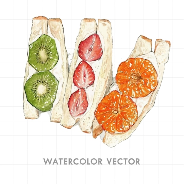 fruit sandwich painted by watercolor