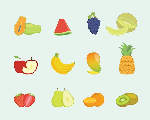 Vector fruit set collection with various shape and various colors with modern flat style