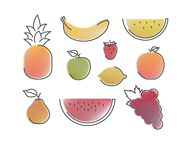Fruit set getextureerde kleur omlijnde vorm