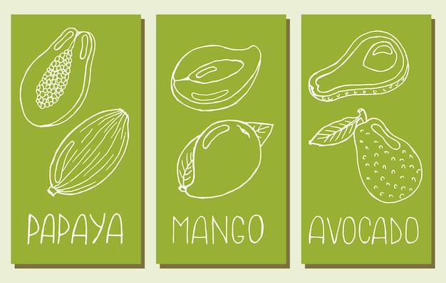 Fruit set, hand drawn outline papaya, mango and avocado. Sketch, posters, vector