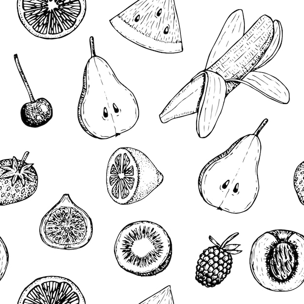 Vector fruit set vector illustratie hand tekenen schets