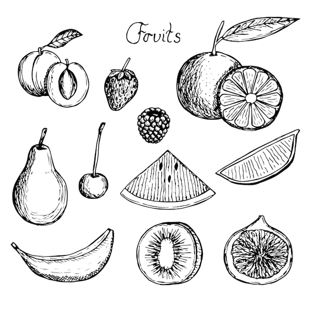 Vector fruit set vector illustration hand drawing sketch