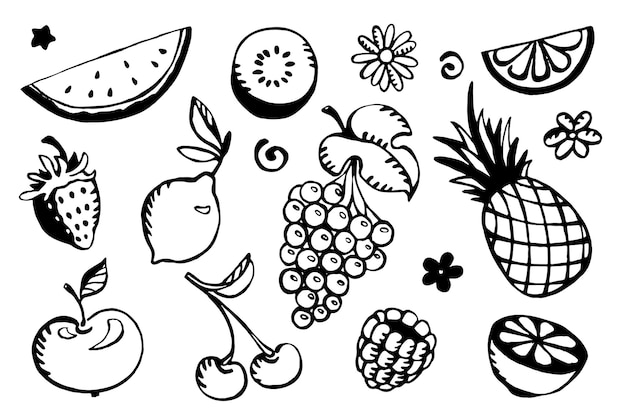 Fruit set of vector illustrations