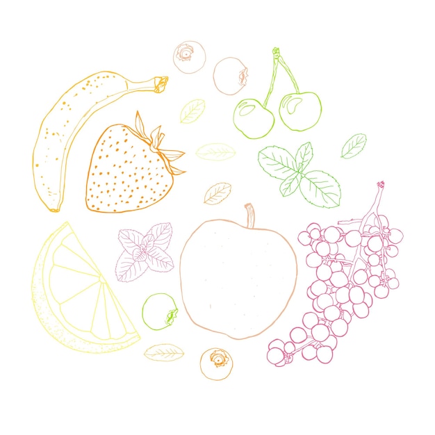 Fruit sketch art illustration circle composition