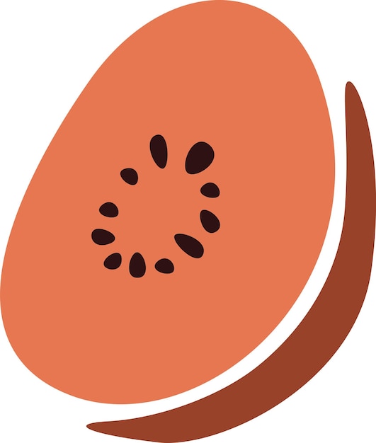 Vector fruit slice icon