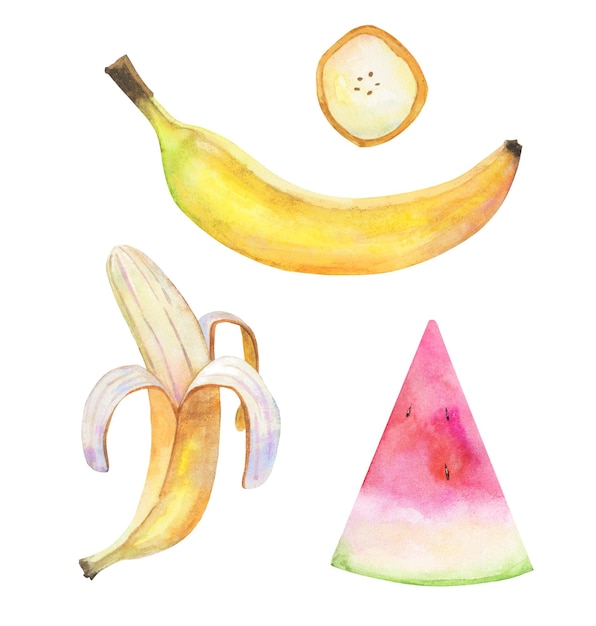 바나나 껍질과 과일 열대 수채화 세트
