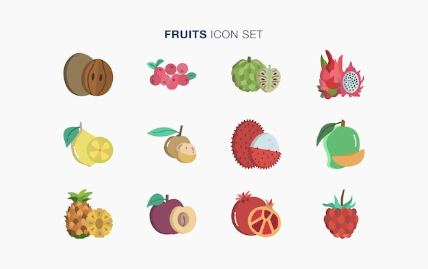 Vector fruit vector icon