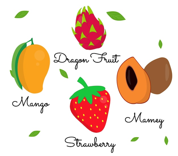 Fruit vector illustraties