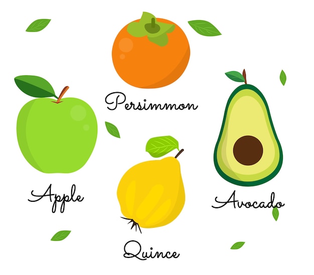 Fruit vector illustraties