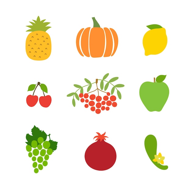 Vector fruit vegetable vector set collection vector illustration