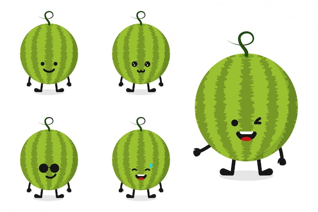 Fruit watermelon character illustration set for happy expression