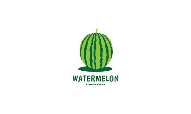 Fruit watermelon colorful modern logo vector icon symbol design graphic illustration