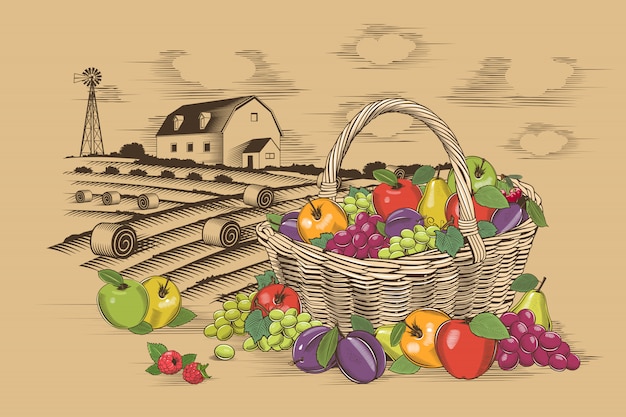 Vector fruits basket and farm