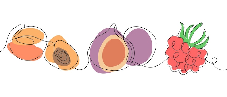 Vector フルーツとベリーが連続したラインに並びラズベリーがラインアートスタイルに並んで手で描かれています