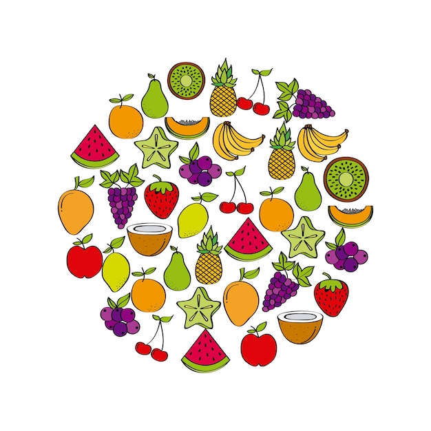 fruits in circle shape 