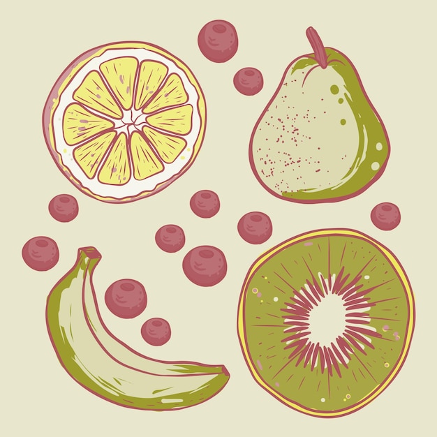 Vector fruits collection for the background a set of fruits for banners textiles wallpaper wrapping paper