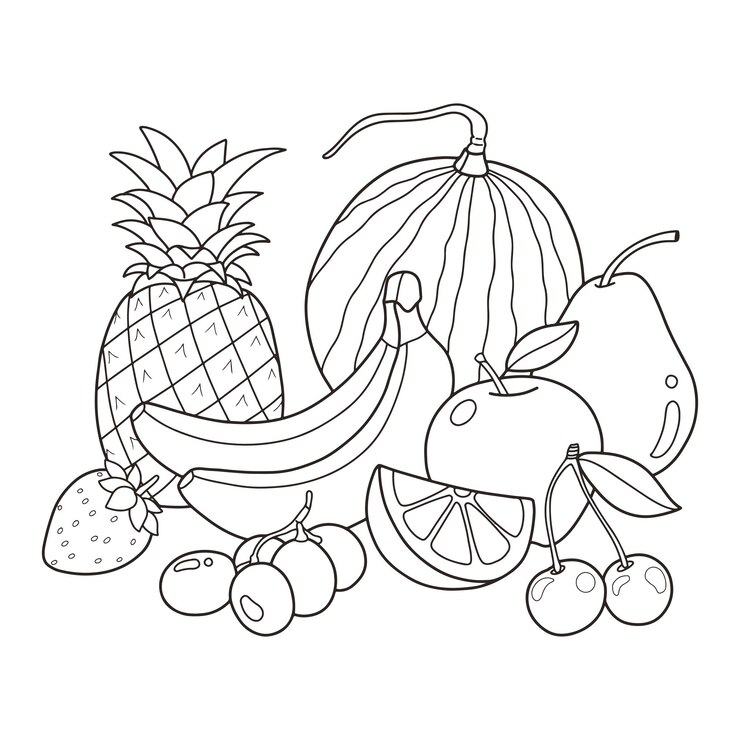 Vector 과일 색칠하기