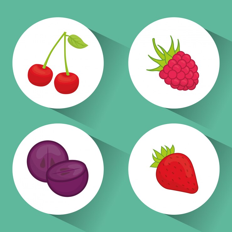 Vector fruits digital design.