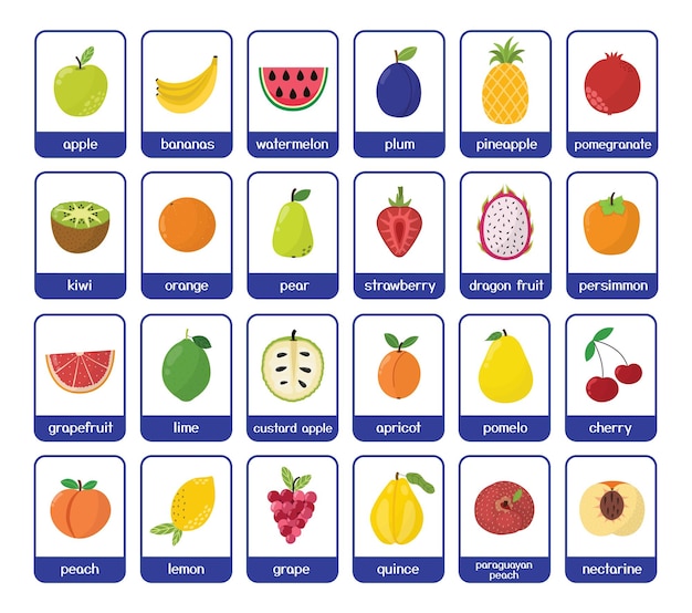 Pacchetto di flashcard di frutta. grande collezione con diversi frutti. carte per bambini in stile cartone animato