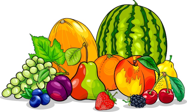 Vector fruits group cartoon illustration