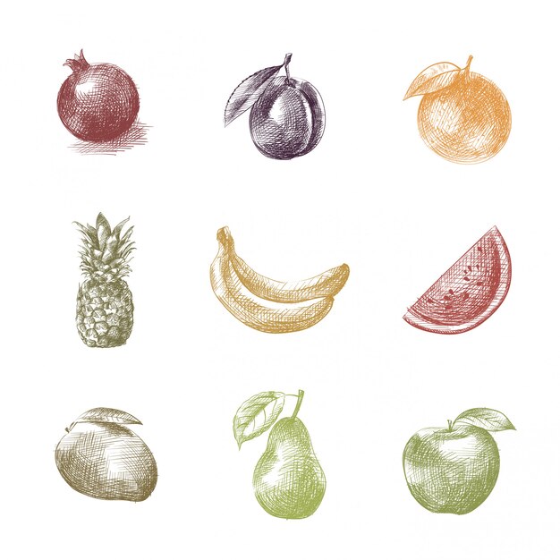 Vector fruits hand drawn sketch, illustration