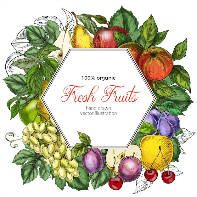 fruits hexagonal banner template