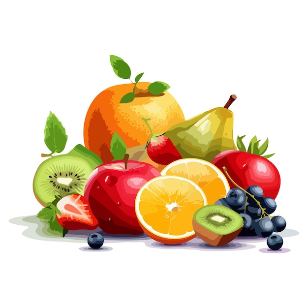 Vector fruits illustration 02