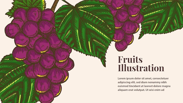 Illustrazione di frutta