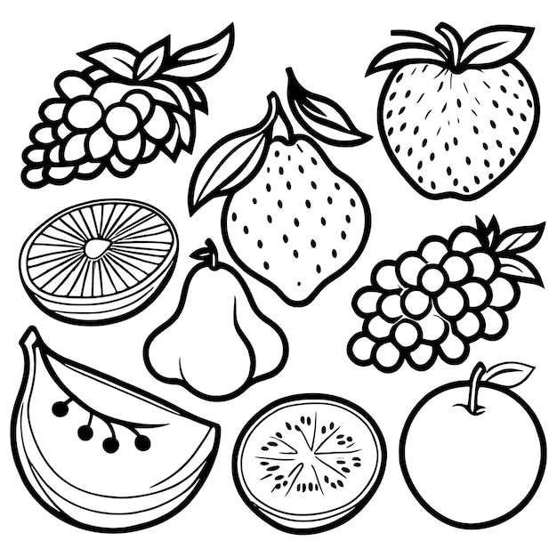 Vector fruits outline coloring page illustration for children and adult