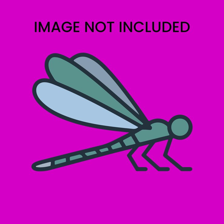 Vector fruits picture