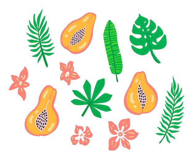 Фруктовый набор папайи с цветами тропических листьев Тропический логотип папайи с пальмовым листом