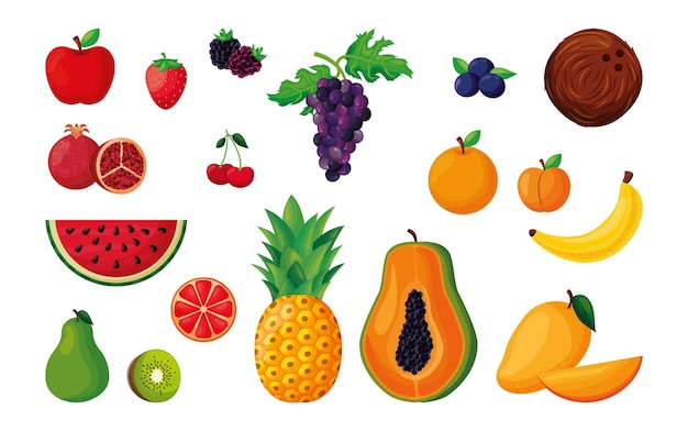 Fruits set vector