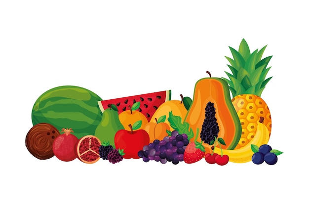 Fruits set vector