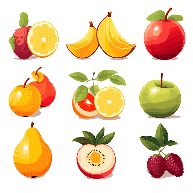 Vector fruits set on white background