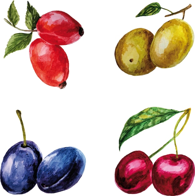 Vector fruits set