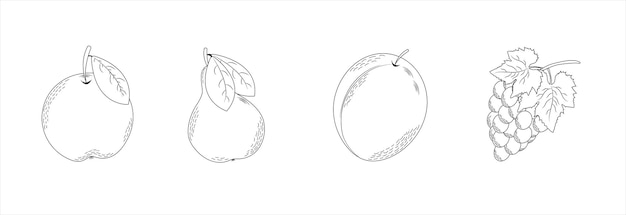 fruits setcollection of fruitsfruits met leafvector illustratie eps10