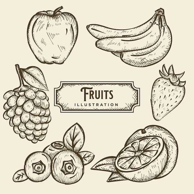 Иллюстрация эскиза фруктов