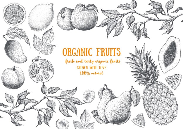 Vector fruits top view frame farmers market design healthy food  hand drawn sketch vector illustration