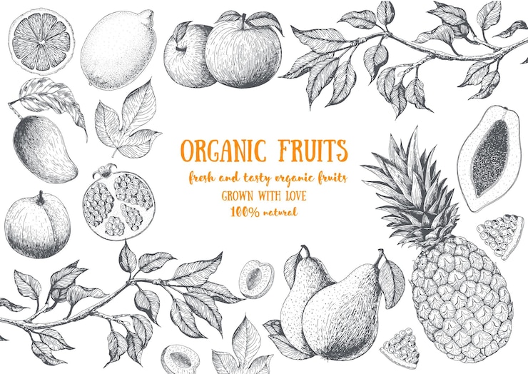 Vector fruits top view frame farmers market design healthy food  hand drawn sketch vector illustration