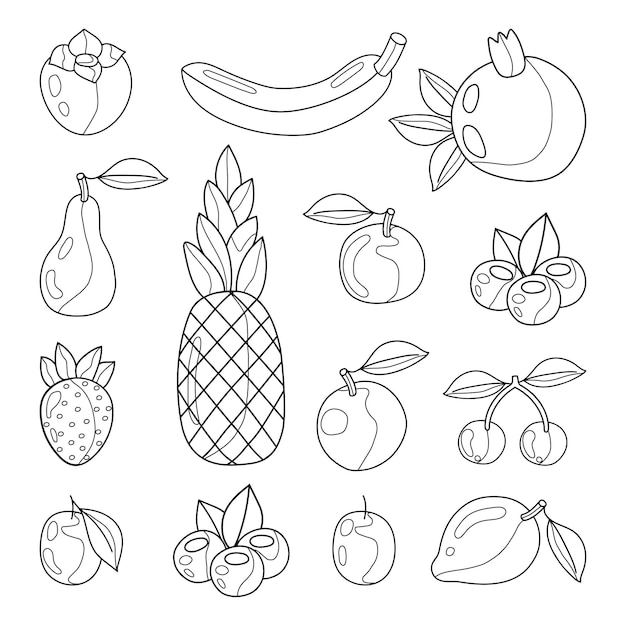 Vector fruits. vector illustration. coloring illustration. flat style