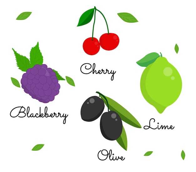 Fruits vector illustrations