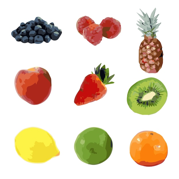 Fruits vector set on white background free vector