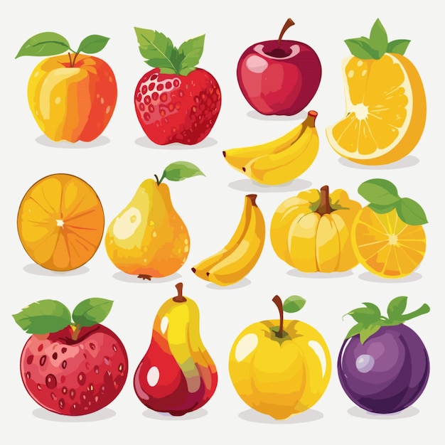 Vector fruits vector on white background