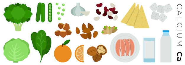 fruits, vegetables and animal products isolated on white