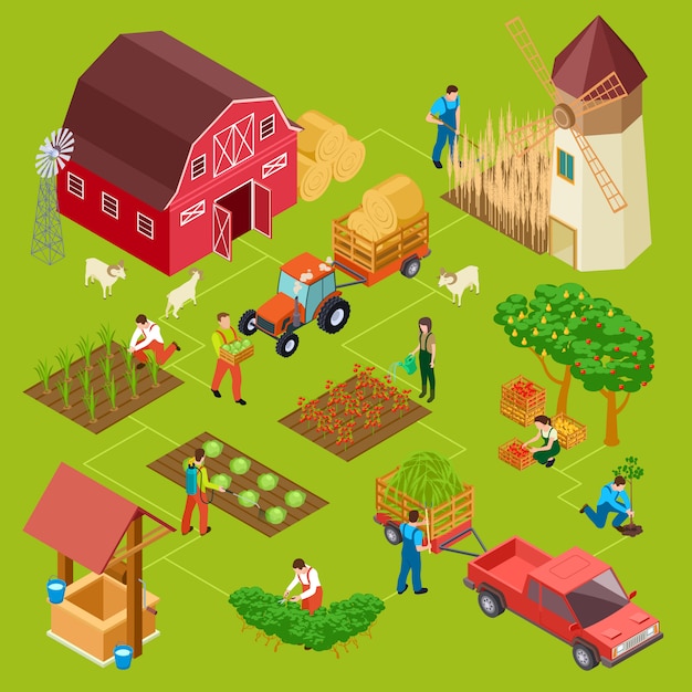Fruits and vegetables farm, isometric gardening  concept